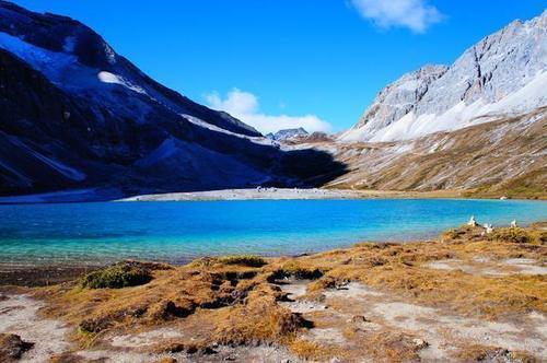 新疆旅游景点排名前十名大全 t013e88b3c729bd5036.jpg