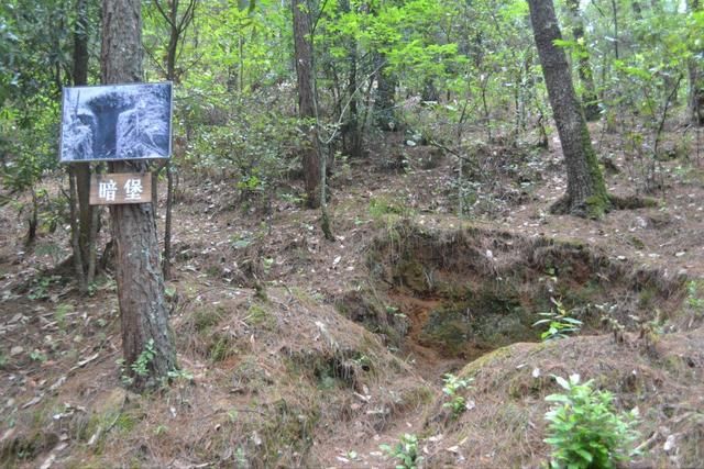 中国最强火力，日军挖空一座山，最终却无一活口