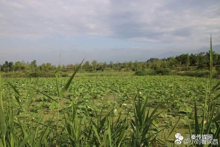 宝鸡眉县一砂石厂为何难监管?眉县环保局李玉怀局长出来走两步!