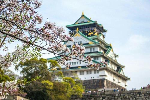 小葱带你吃天下-日本篇 --吃货天堂-大阪!_【快