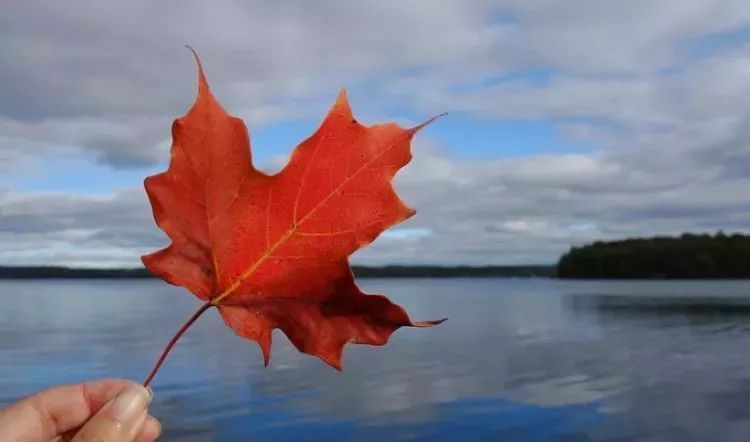 加拿大城市名字的由来,温尼伯的名字来的很真