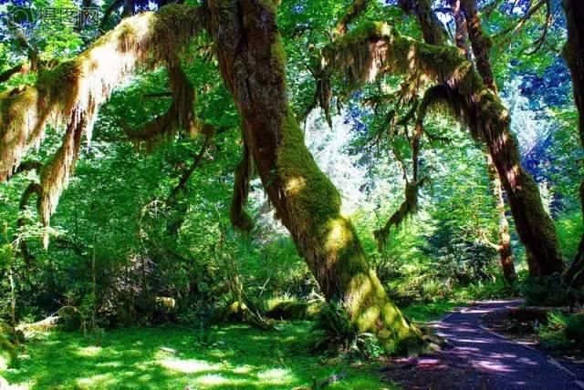 小长假别再出国了!浪了青海，就等于浪了全世界，不信你看!