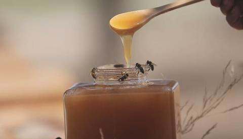 为什么怀孕不能吃蜂蜜?怀孕了能吃蜂蜜吗?