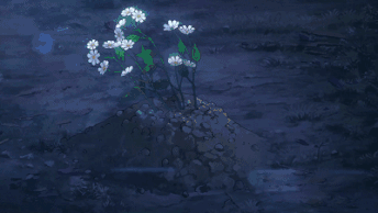 10个新增的微信表情