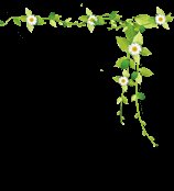 行政许可的设定