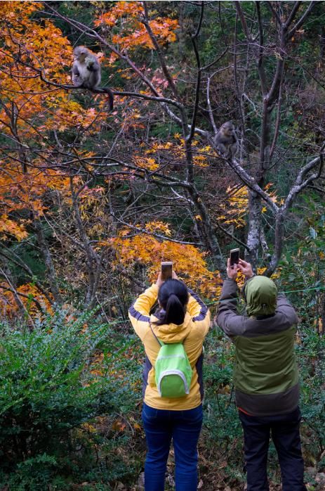 寻访香格里拉，穿越滇藏秘境，看一看那里的人那里的生活
