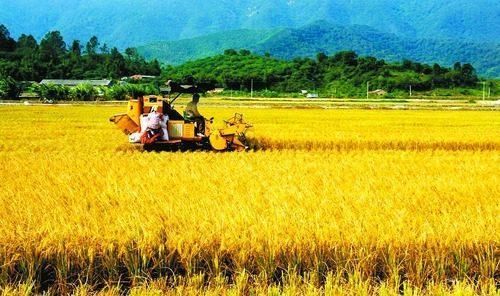 土地又有新政策:地能入股种地人可当股东