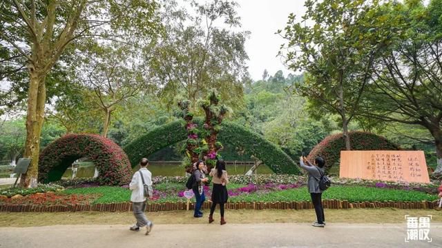 大夫山21年后大变样！400亩园林花海，广州开上高速都要来踏春！