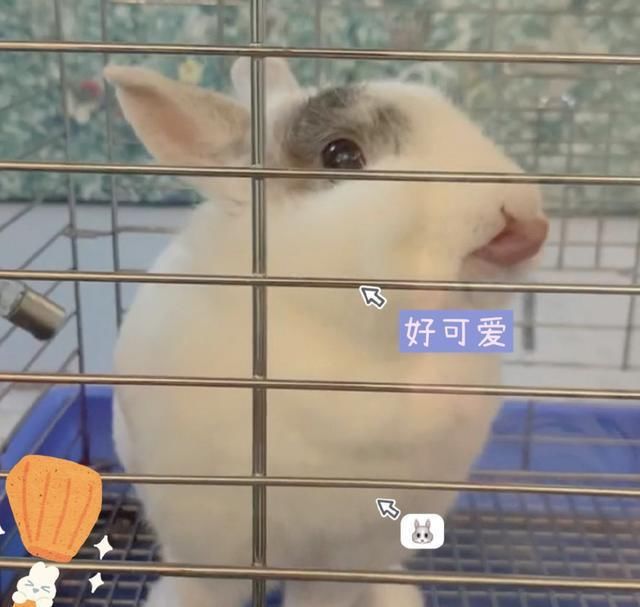 方媛分享生活日常，晒健身照气质极佳，扮迪士尼公主少女感满满