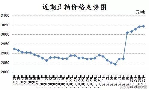 豆粕已涨300！是否将再现2016年的涨势？