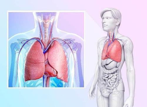 洗澡后血压会降吗 t013fd2fef6e07cfc88.jpg