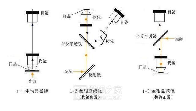 显微镜原理的结构图片_扫描电子显微镜的原理结构(3)