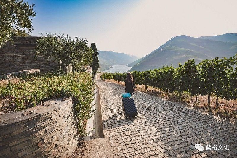 6个葡萄酒旅游新去处，你都get到了吗?