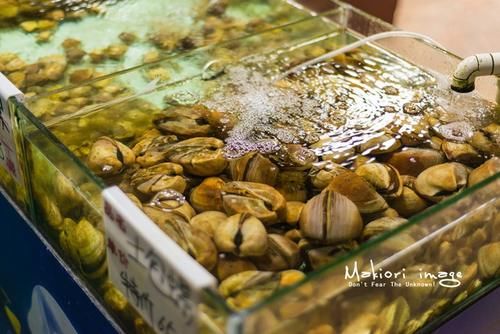 国家为什么不管北海