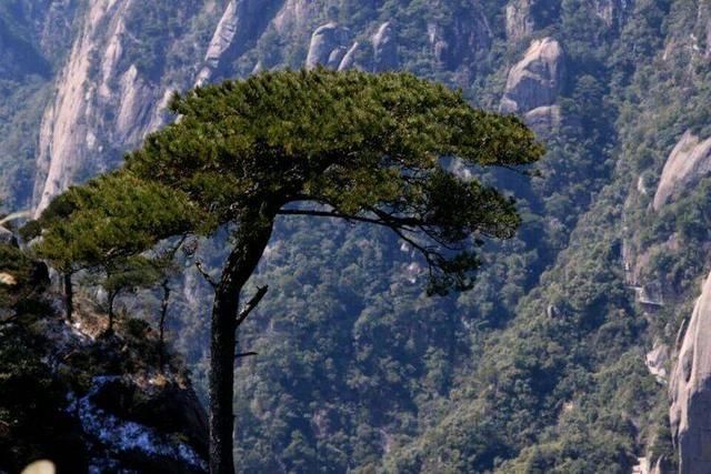 私藏在江西的道教名山，《中国国家地理》眼中的最美峰林！