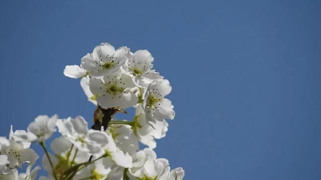 清明小长假去哪里?推荐10个风景美如画的地方