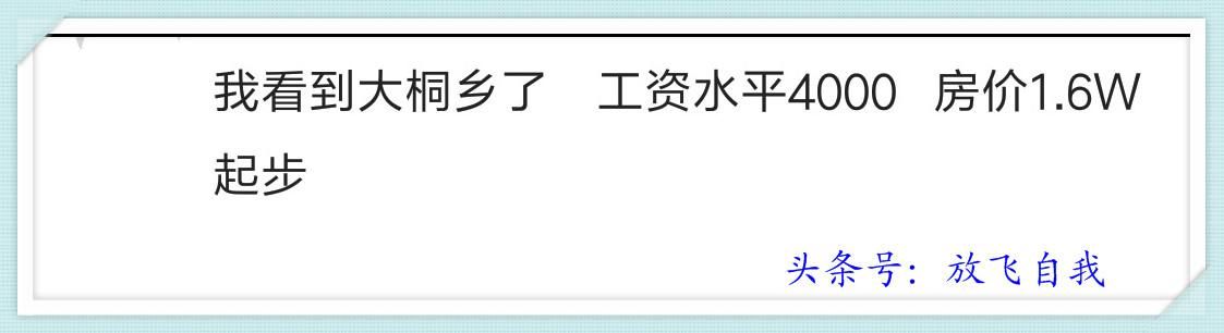 你家的小县城房价如何？买得起房吗？网友说：半年收入买一个平方