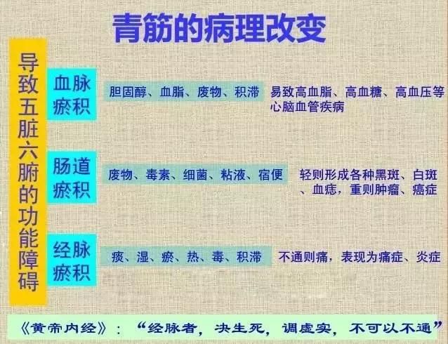 这个部位长青筋小心这些病送您三招来化解