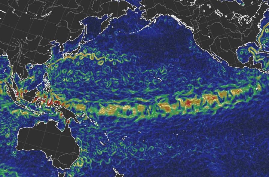 面:日本皮皮虾竟然趁海啸乘着垃圾偷渡美国?