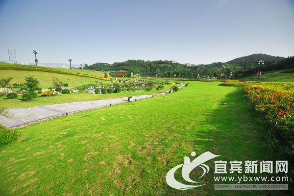 宜宾:门户畅达迎宾至 花团锦簇待人归