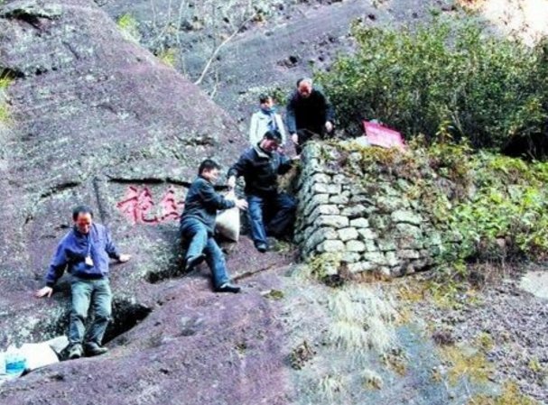 中国最值钱的三棵古茶树:方圆百米不准修屋建房，专人24小时看护