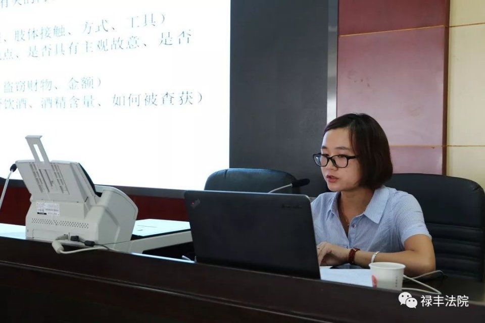 禄丰县法院开展书记员业务专题培训