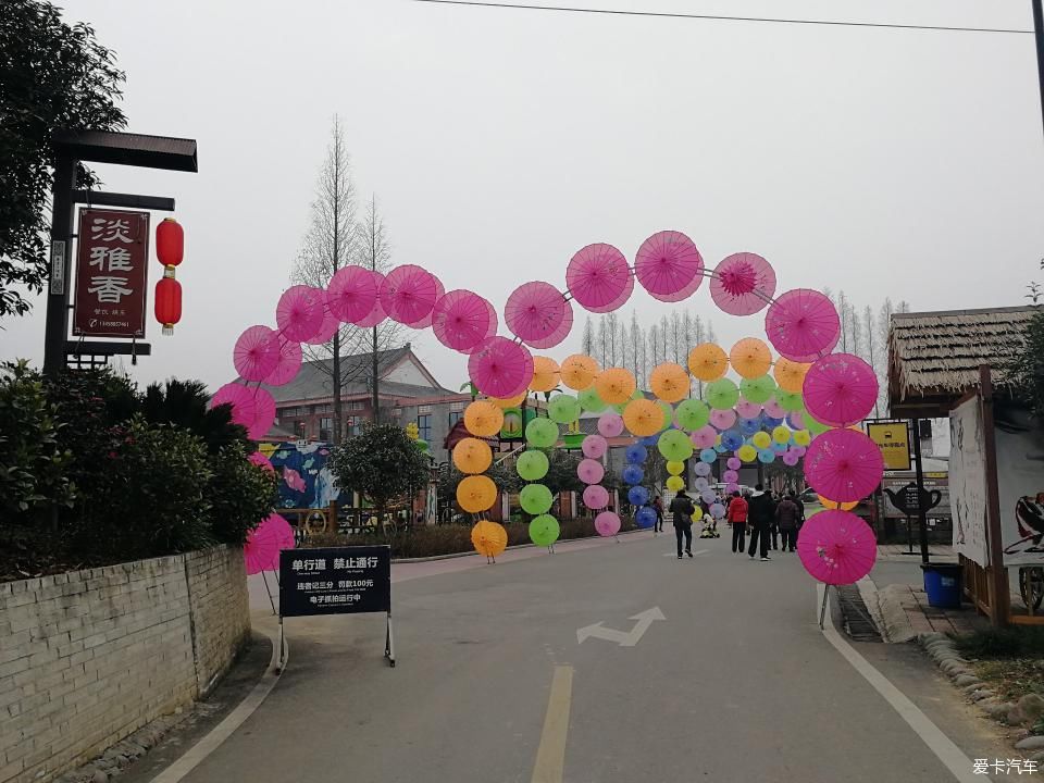 参观牛碾坪万亩观光茶