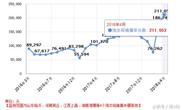 标猪紧俏 猪价终上涨！