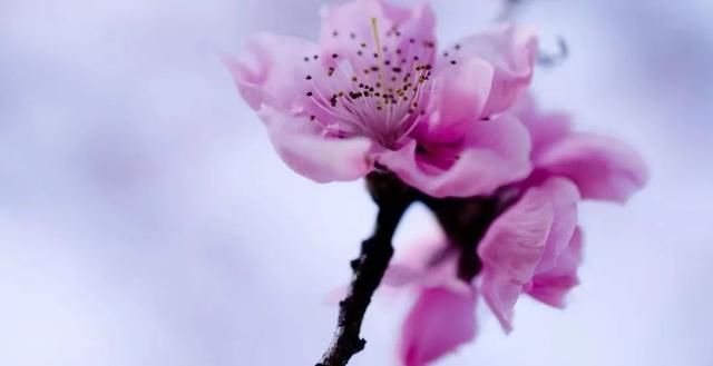 巾帼心向党建功新时代获奖征文