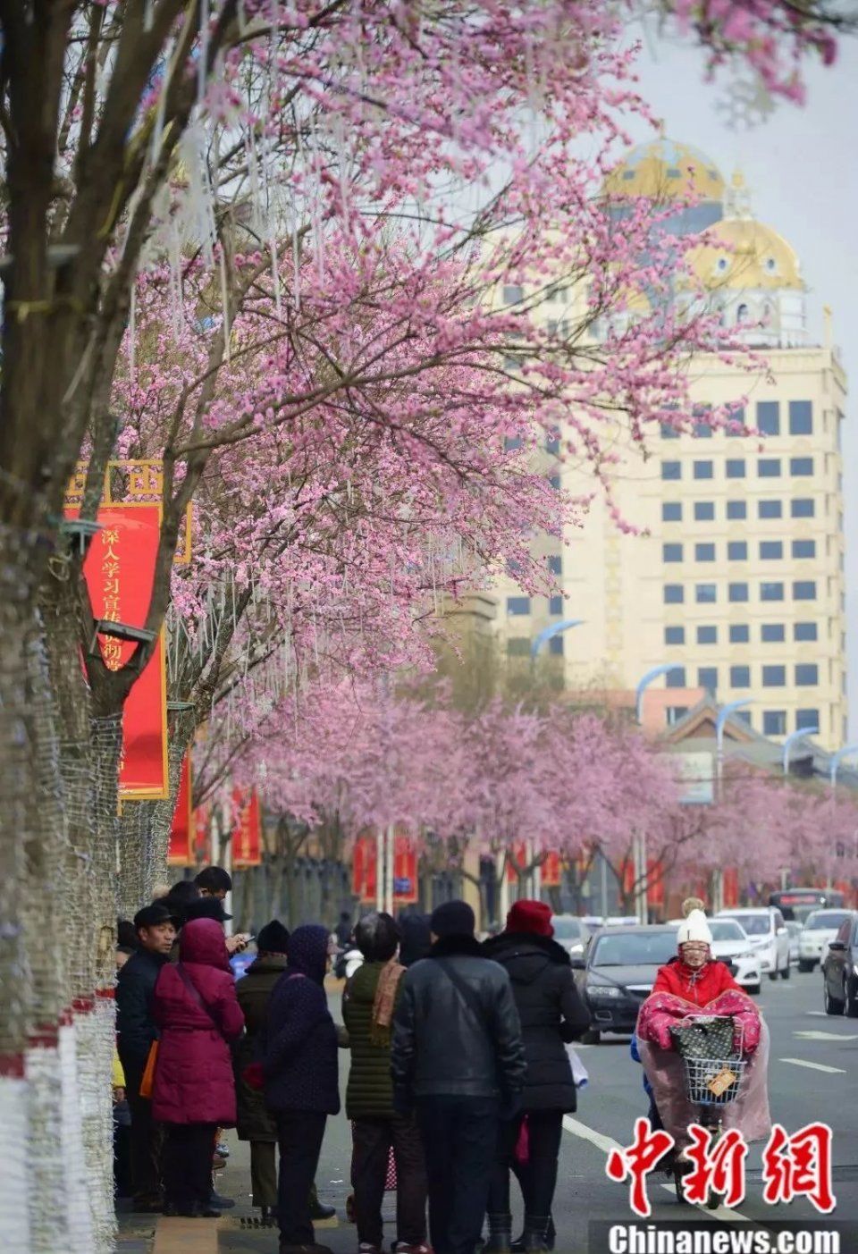 呼市人注意!春节期间这9条消息大家要知道，看到第1条很多人乐了