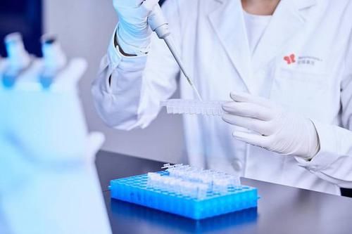 商标注册证图片