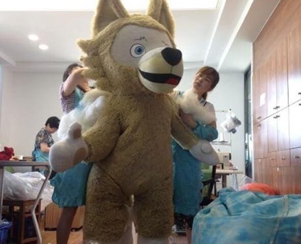 不怕得禽流感?俄罗斯世界杯 尼日利亚球迷被禁