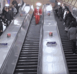 爆笑GIF: 只有养狗的人才懂洗狗的痛!