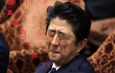 各国领导人动情时，哭泣百态。普京奥巴马英拉泪流满面安倍假惺惺