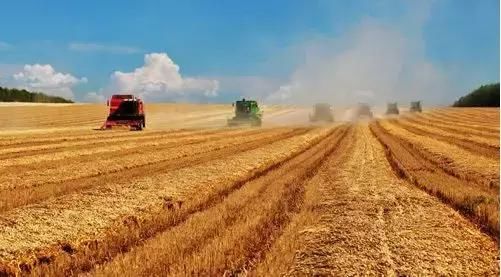 2018年粮食收储政策怎么变？