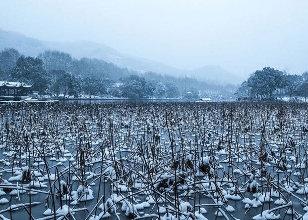 最明智的5A景区：自愿放弃3亿门票收入，却换回了10倍收益