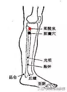 20种常见病症按摩手法，在家自己就调理了