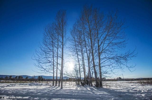 漠河：灰树白雪美景浑然天成