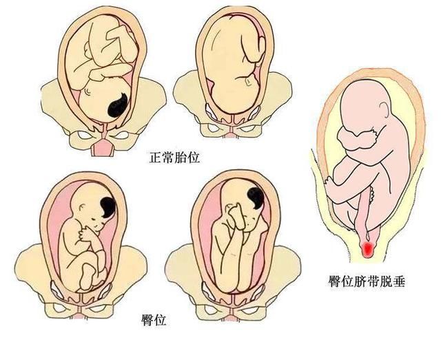 儿童人口钟_钟表 钟 挂钟 2017 12 商城 天猫精选 儿童卡通动物时钟eva贴画,手工