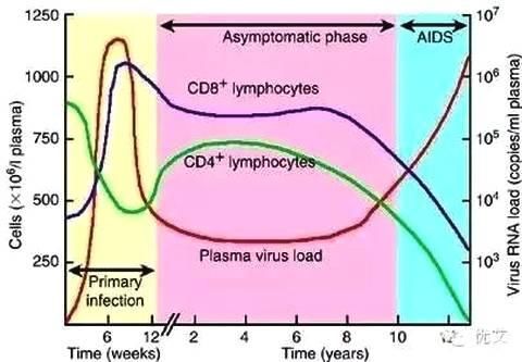 感染了HIV,CD4怎么变化