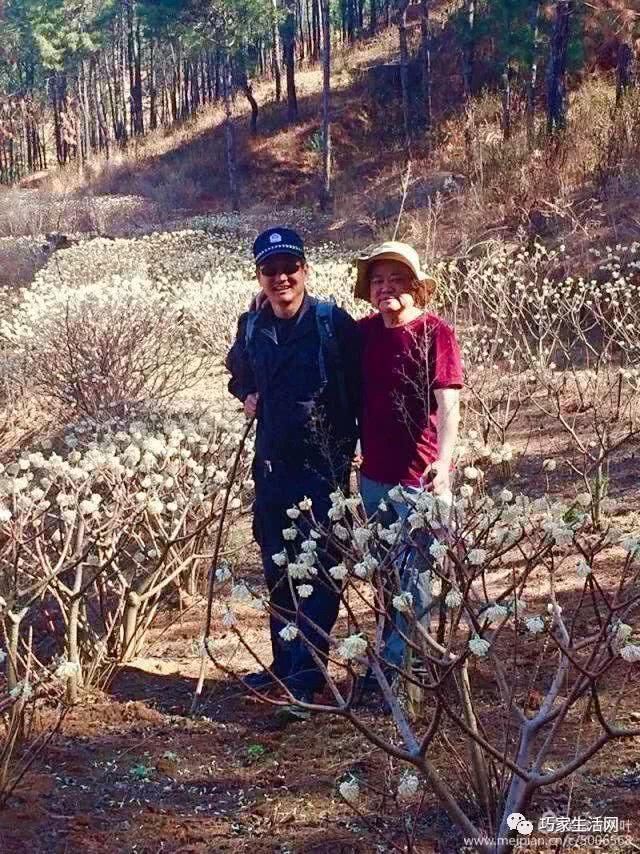 不负春光，不负自己！从巧家出发，赴一路花香！