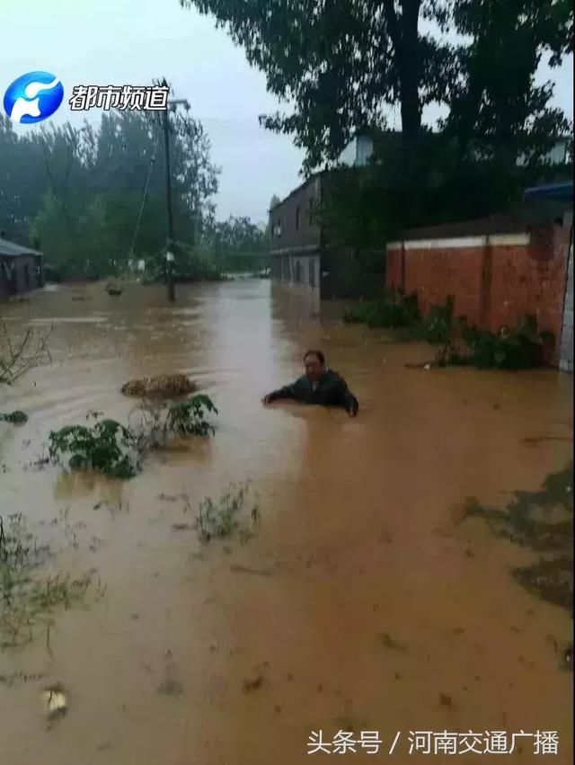 南阳突遭暴雨！淅川、邓州受灾严重，水深齐腰、房屋受损……