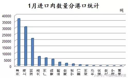 猪价持续探底，大面积跌回5元时代！猪肉利润去哪了？