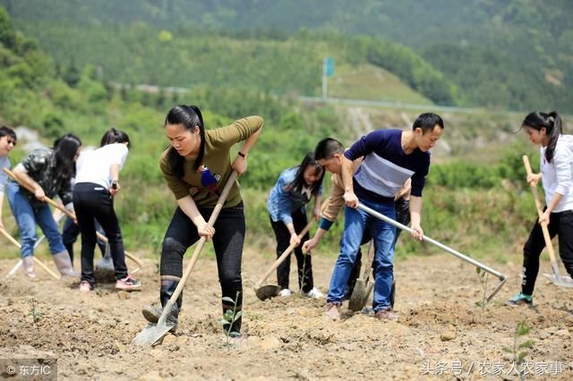 为什么现在的农民不太愿意走集体化了？