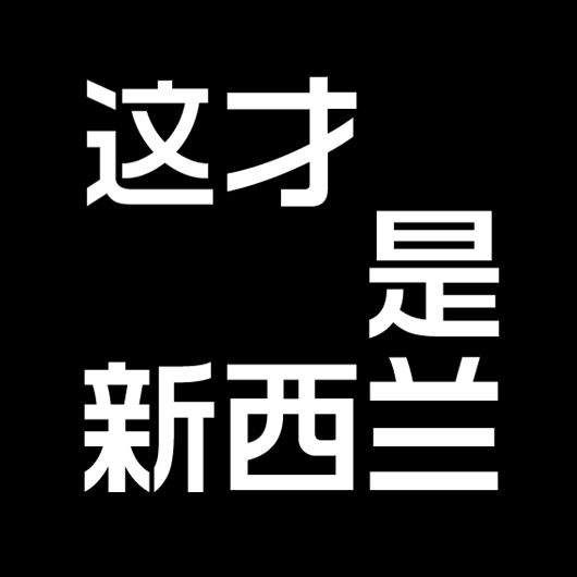 厉害了!中国人炒房炒到这个国家的人崩溃了...