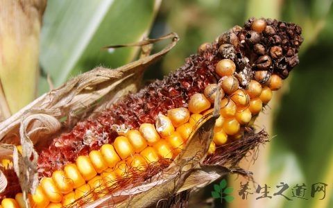 调理心脏病的食物