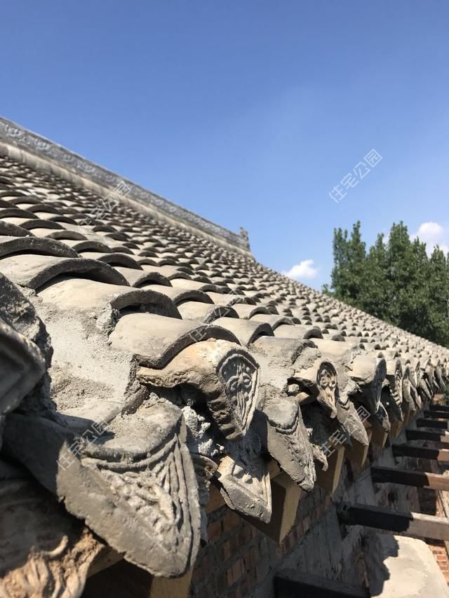 河南小哥30万自建中式小院，有庭院、荷花池，占地1亩就是爽！