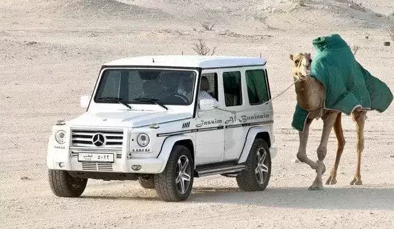 实拍迪拜土豪们的宠物，骆驼都有自己的车位，有钱人地位的象征!