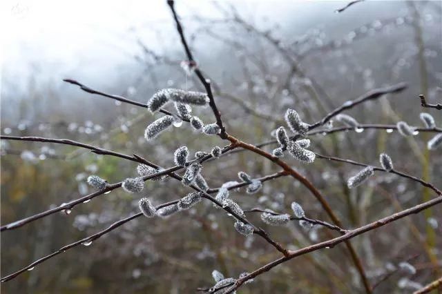 黄龙归去，也无风雨也无晴