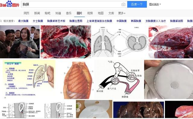 造谣明星去世、卖贴吧骗病友钱…骂了8年百度